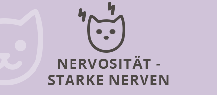 Katzengesundheit Nervosität - starke Nerven
