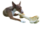 Preview: Ernährungsberatung für Hund und Katze, kostenfrei und unverbindlich.
