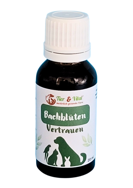 Bachblüten Spray Für Tiere | Bio 10 Ml | Beruhigend Bei Traurigkeit | Für Katzen & Hunde